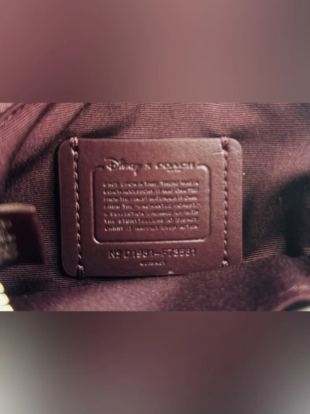 Coach Disney Pink Gem-Print  Wristlet